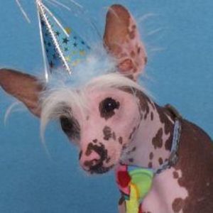 Meet your Posher, Tressa